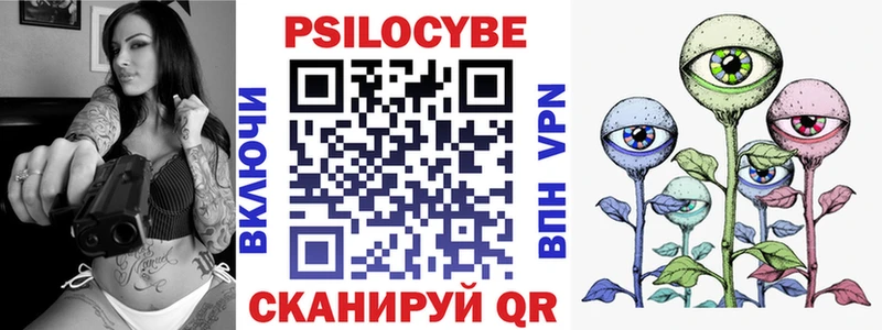 Псилоцибиновые грибы Cubensis  Кисловодск 