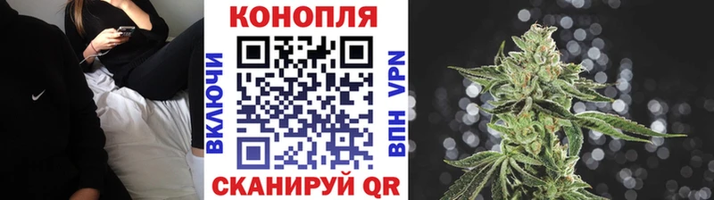 Бошки Шишки гибрид Кисловодск